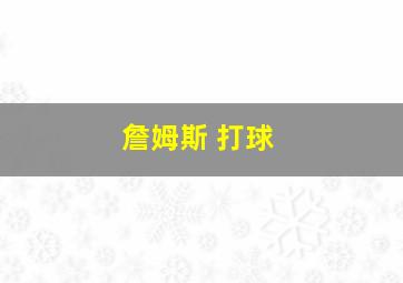 詹姆斯 打球